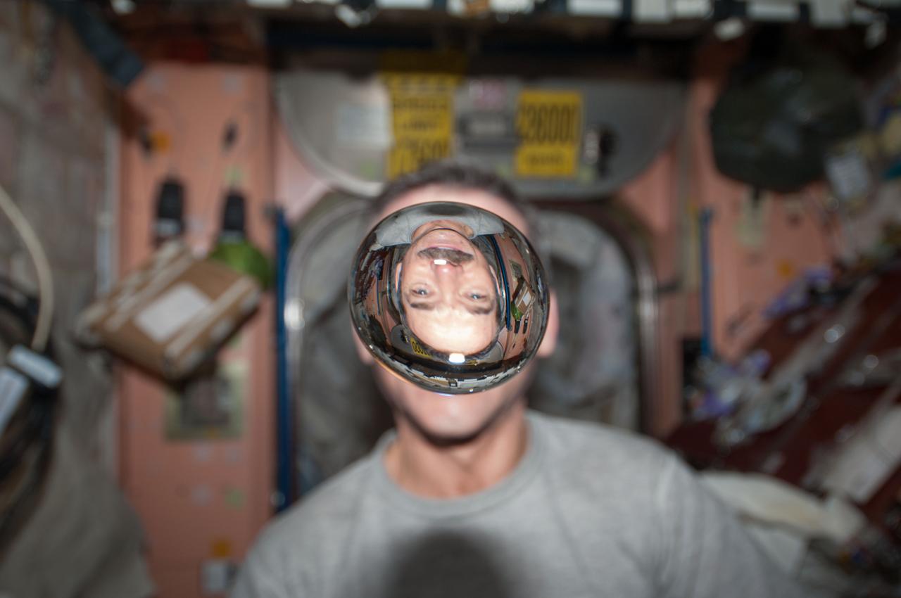 ISS034-E-031695 (21 Jan. 2013) --- Canadian Space Agency astronaut Chris Hadfield, Expedition 34 flight engineer, watches a water bubble float freely between him and the camera, showing his image refracted, in the Unity node of the International Space Station.