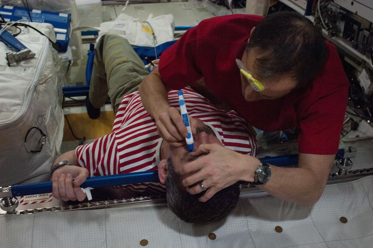 ISS034-E-035949 (21 Jan. 2013) --- NASA astronaut Tom Marshburn (right), Expedition 34 flight engineer, performs a Tonometry eye exam on Canadian Space Agency astronaut Chris Hadfield, flight engineer, in the Columbus laboratory of the International Space Station. The purpose of this exam is to measure intraocular eye pressure.