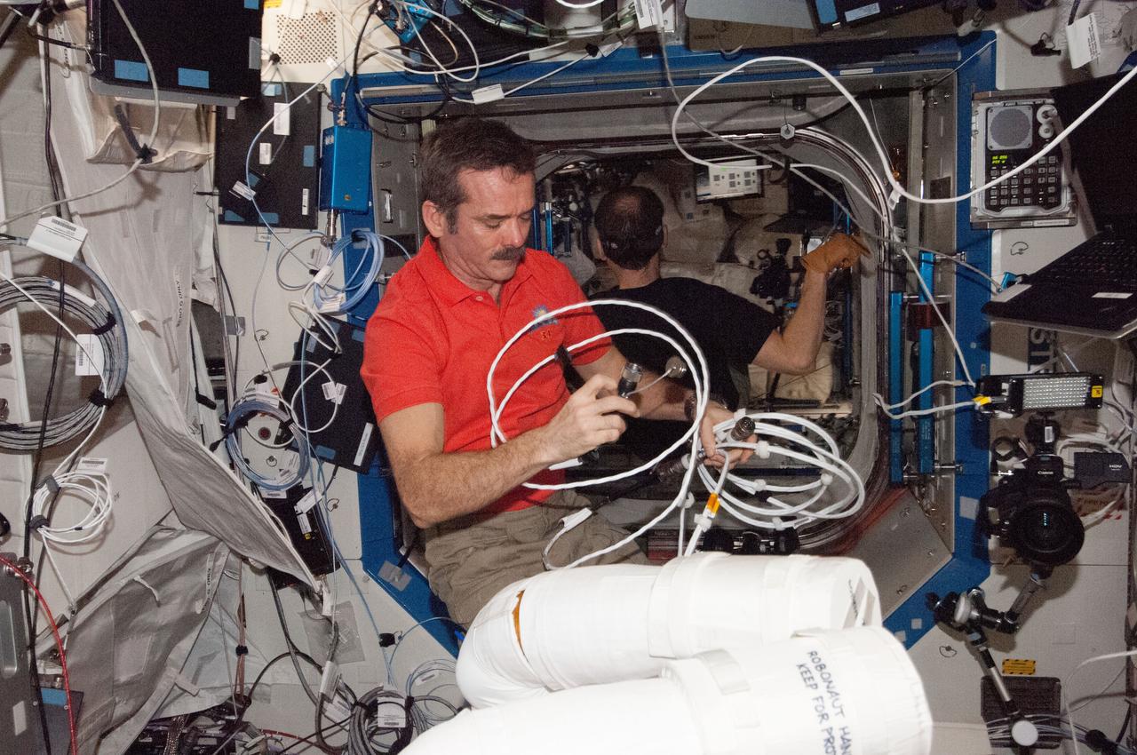 ISS034-E-037342 (31 Jan. 2013) --- Canadian Space Agency astronaut Chris Hadfield, Expedition 34 flight engineer, works with Robonaut 2 hardware in the Destiny laboratory of the International Space Station. R2’s arms are visible at bottom.