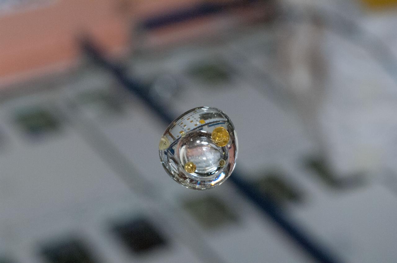 View of air and pepper oil experiment suspended in a water blob.  Photo was taken during Expedition 34.