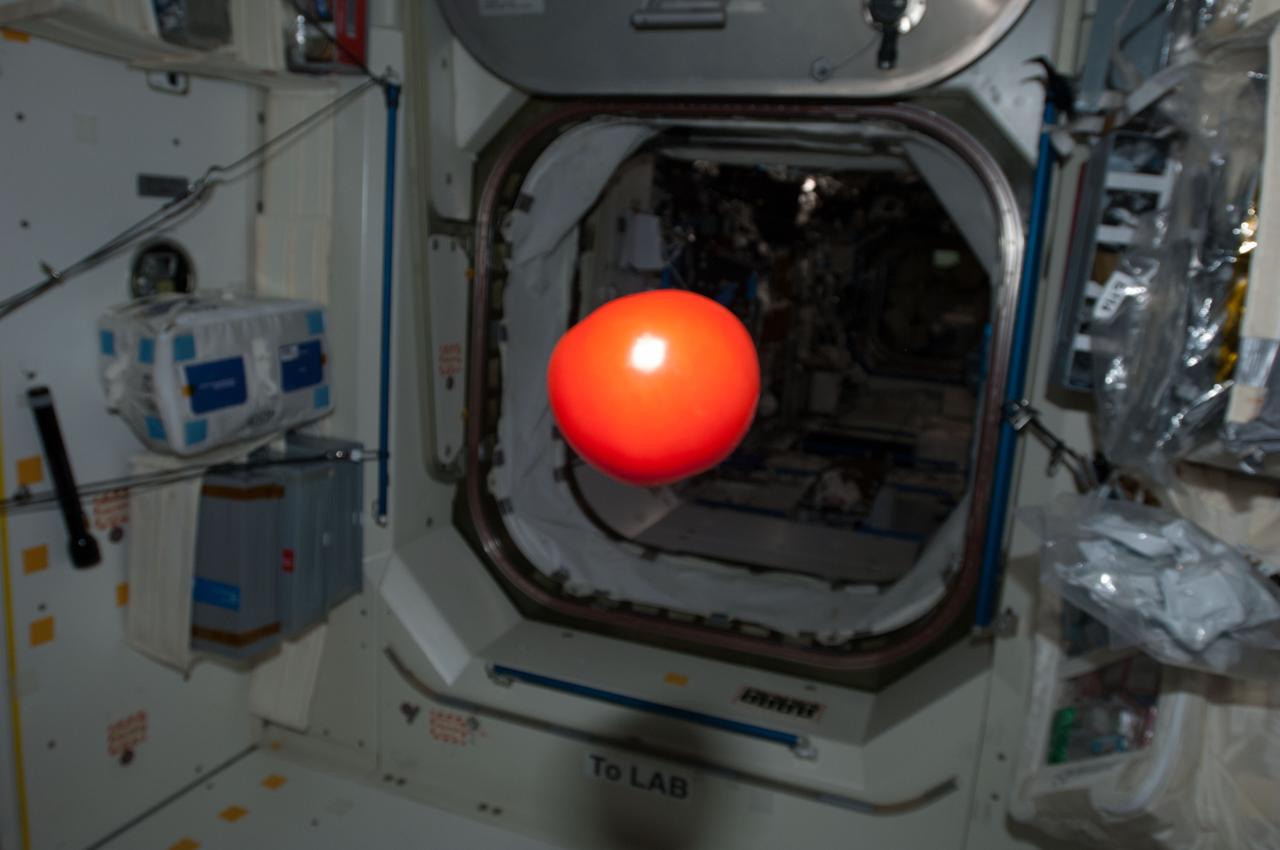 View of tomato floating in module.  Photo was taken by Expedition 34 crew.