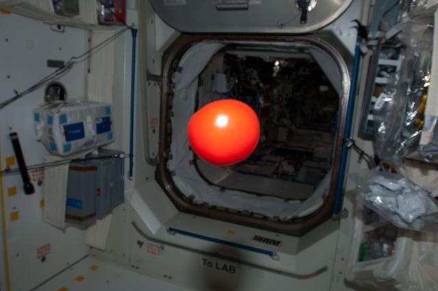 NASA image: Tomato Floating in Module
