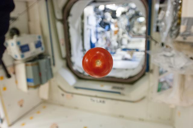 NASA image: Tomato Floating in Module