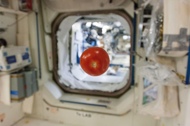 NASA image: Tomato Floating in Module