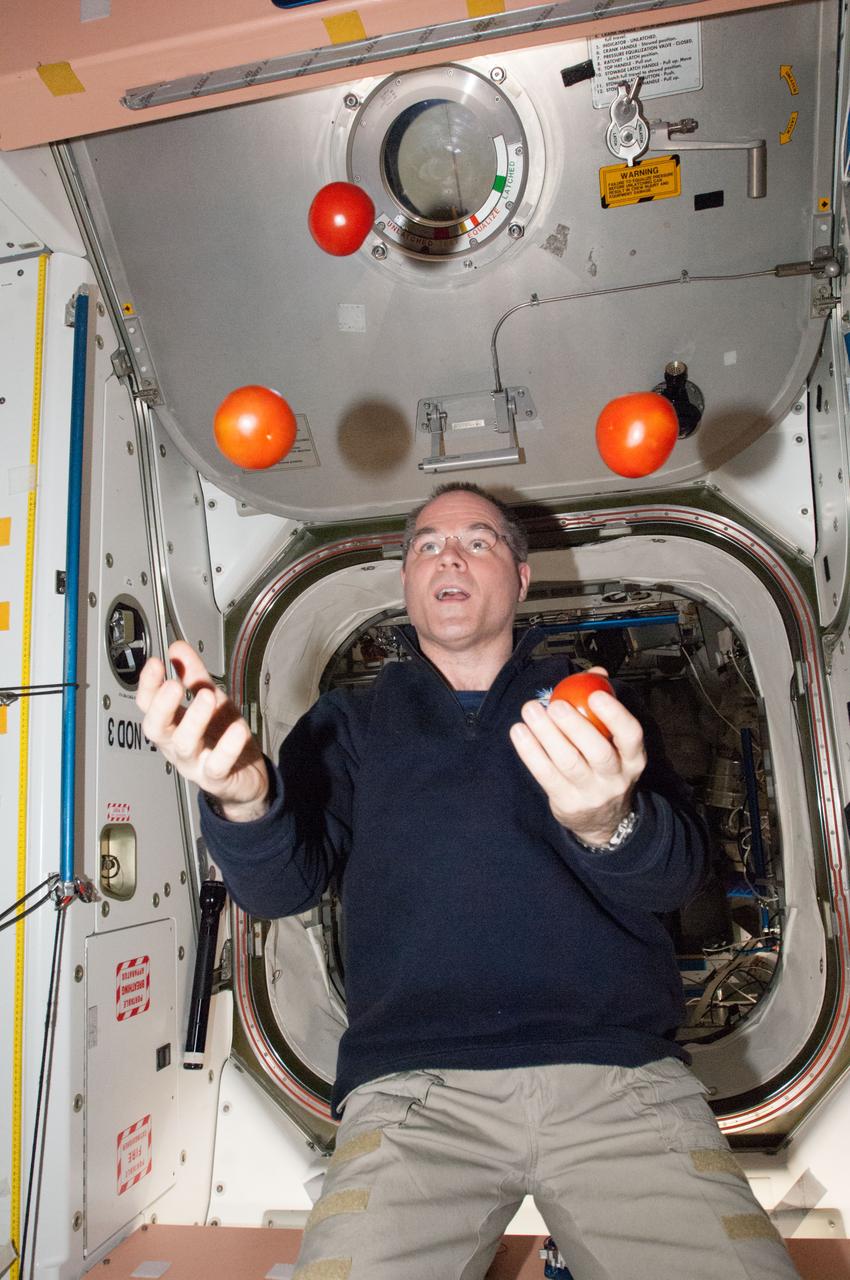 ISS034-E-062050 (3 March 2013) --- Taking advantage of a weightless environment onboard the Earth-orbiting International Space Station, Expedition 34 Commander Kevin Ford juggles some tomatoes, which he probably considers to be among the more delicious components of a recent "package" that arrived from Earth on March 3. The SpaceX Dragon 2 spacecraft brought up a large shipment of food and other supplies, and the spacecraft will remain docked to the station for three weeks. Ford is in Node 1 or Unity. The U.S. lab or Destiny is in the background.