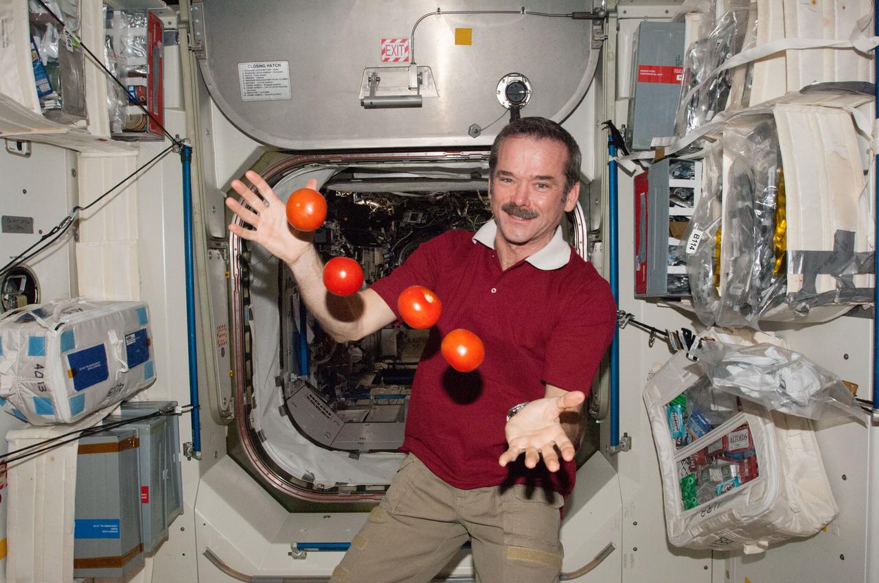 ISS034-E-062051 (3 March 2013) --- Taking advantage of a weightless environment onboard the Earth-orbiting International Space Station, Expedition 34 Flight Engineer Chris Hadfield of the Canadian Space Agency juggles some tomatoes, which he probably considers to be among the more delicious components of a recent "package" that arrived from Earth on March 3. The SpaceX Dragon 2 spacecraft brought up a large shipment of food and other supplies, and the spacecraft will remain docked to the station for three weeks. Hadfield is in Node 1 or Unity. The U.S. lab or Destiny is in the background.