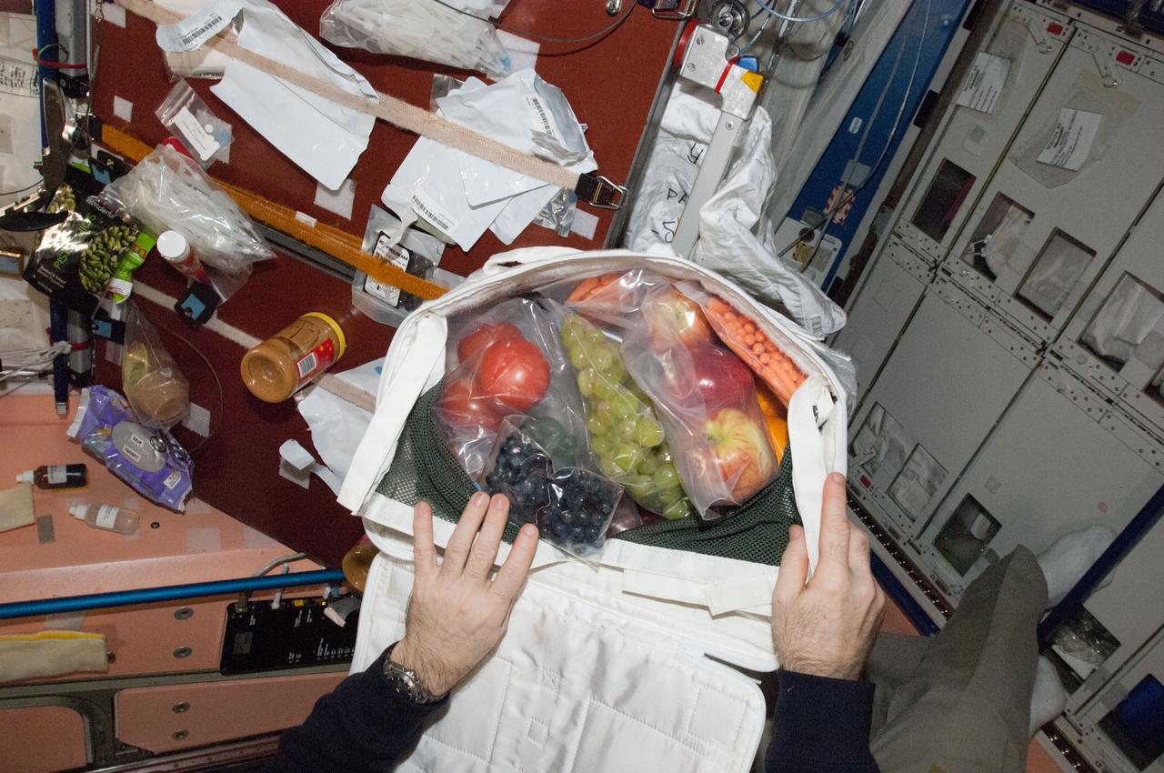 ISS034-E-062087 (3 March 2013) --- The hands of Expedition 34 Commander Kevin Ford, NASA astronaut, open a bag revealing a highly welcomed aggregate of fruit which was sent up from Earth a couple of days earlier and which arrived at the International Space Station on March 3. It was just a very small portion of all the fresh supplies which arrived aboard the unmanned Space X Dragon spacecraft. The scene, being witnessed by many of the astronauts and cosmonauts out of the camera's view, took place in Node 1 or Unity.