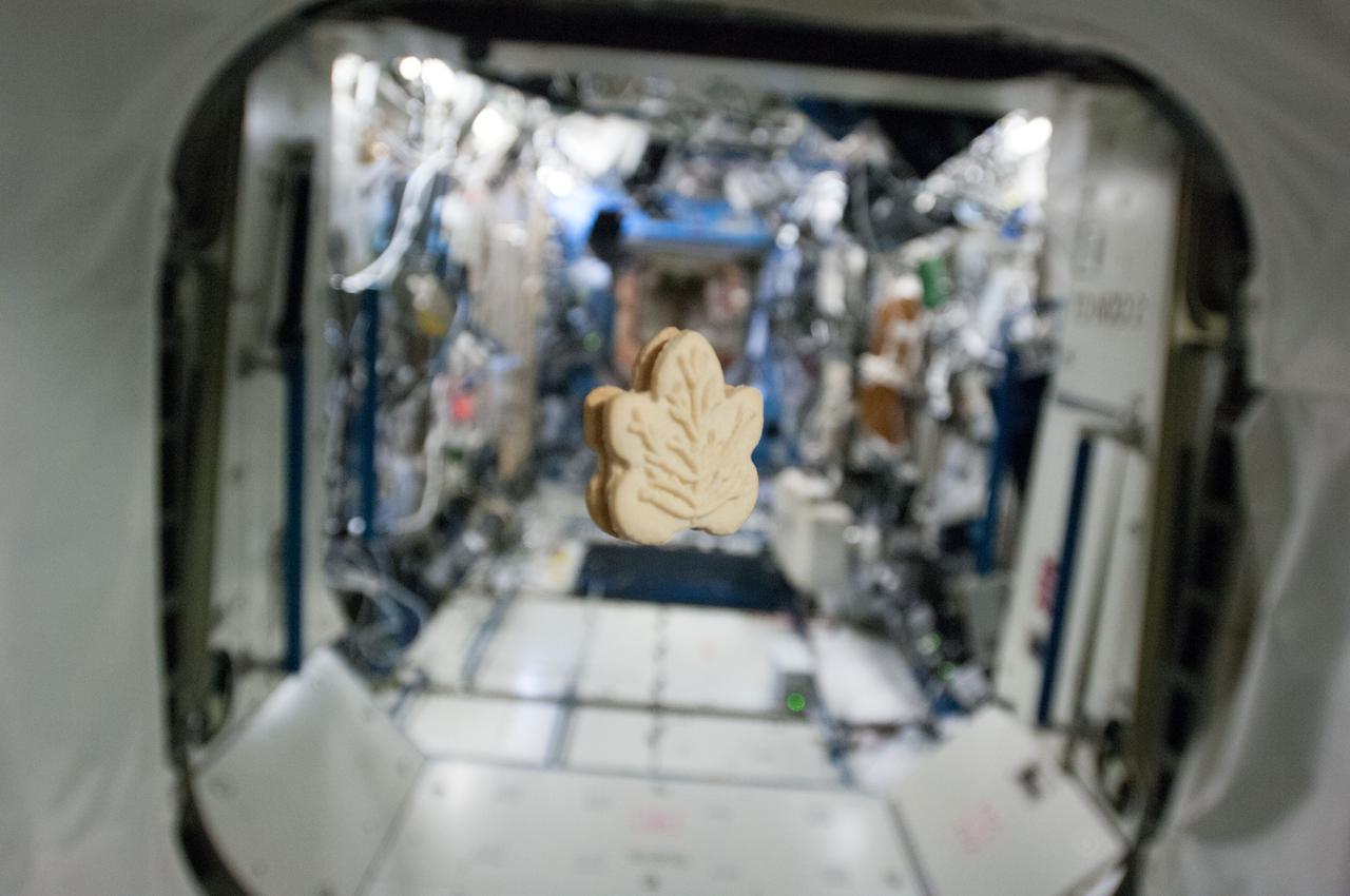 View of a maple cookie floating in the Harmony Node 2. The hatch into the Destiny U.S. Laboratory is in the background. Image was taken during Expedition 35.
