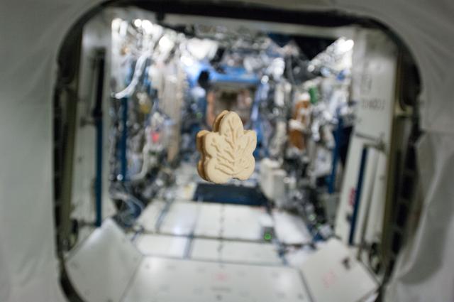 NASA image: Maple Cookie floating in Node 2