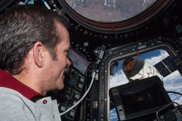 NASA image: Hadfield in the Cupola