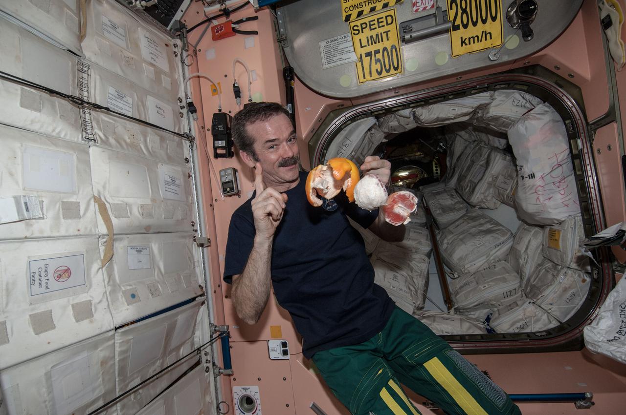 ISS035-E-010435 (30 March 2013) --- In the Unity node of the Earth-orbiting International Space Station, Expedition 35 Commander Chris Hadfield of the Canadian Space Agency enjoys part of the "fruits of labor," so to speak, from a visiting spacecraft for the second time in a month. This particular grapefruit came by way of the Soyuz TMA-08M spacecraft, which arrived on March 29, along with three new Expedition 35 crew members. The SpaceX Dragon-2 unmanned spacecraft delivered a nice assortment of fresh fruit along with more than a half ton of supplies and gear on March 3, when Hadfield was serving as a flight engineer on the Expedition 34 crew.