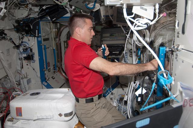 NASA image: Cassidy conducts BASS Flame Test