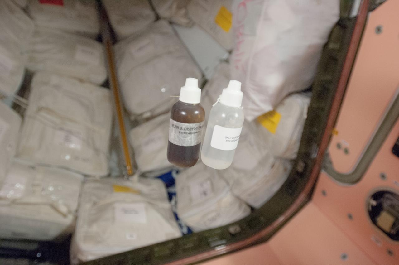 View of liquid pepper and salt dispensers floating in the aft hatch area of the Unity Node 1 during Expedition 35.