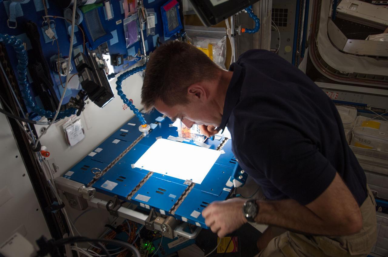 ISS035-E-022906 (18 April 2013) --- In the Harmony node aboard the International Space Station, NASA astronaut Chris Cassidy works with the Capillary Flow Experiment (CFE).