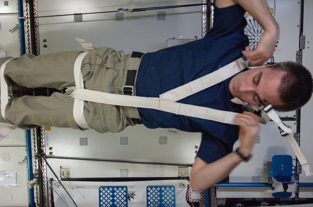NASA image: Crew Medical Restraint System Inspection