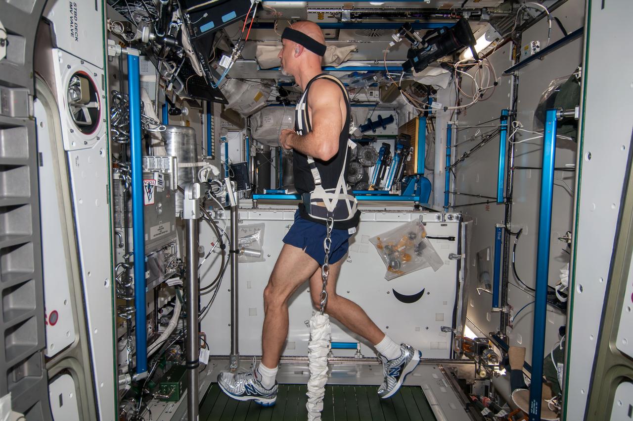 ISS036-E-005384 (2 June 2013) --- In the Tranquility node of the Earth-orbiting International Space Station, European Space Agency astronaut Luca Parmitano exercises on the Combined Operational Load Bearing External Resistance Treadmill (COLBERT), technically named the Treadmill 2 and abbreviated as T2. It is a treadmill for use on board the orbital outpost and is designed to allow astronauts to run without vibrating delicate microgravity science experiments in adjacent labs. It was derived from the treadmill that was originally taken to the station. COLBERT/T2 uses a different kind of vibration-suppression system than the original. Parmitano has been on board the orbital outpost for about three days and will continue his stay into November.