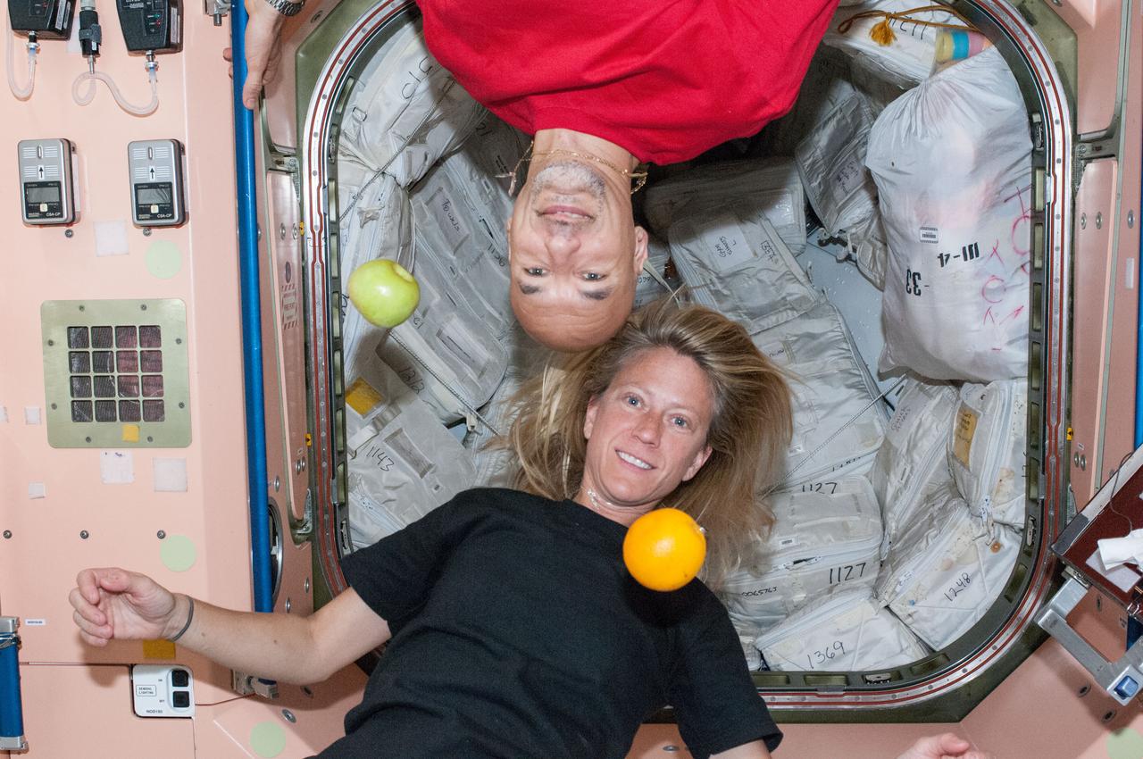 ISS036-E-005534 (31 May 2013) --- When off-duty time comes for crew members aboard the Earth-orbiting International Space Station, astronauts often like to take advantage of the micro-gravity to do things that they can't do on Earth, such as hang upside down or suspend fruit in air.  Here, Flight Engineers Karen Nyberg of NASA and Luca Parmitano of the European Space Agency find a spot in the Unity node to their liking for a brief recess.