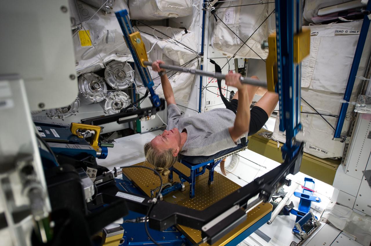 ISS036-E-005939 (3 June 2013) --- NASA astronaut Karen Nyberg, Expedition 36 flight engineer, gets a workout on the Advanced Resistive Exercise Device (ARED) in the Tranquility node of the International Space Station.