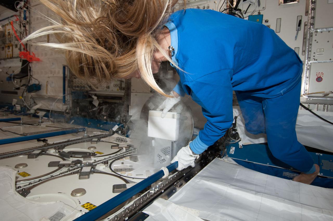 Astronaut Karen Nyberg,Expedition 36 flight engineer,works with samples in Minus Eighty-Degree Laboratory Freezer for ISS (MELFI-3) in the Destiny laboratory of the Earth-orbiting International Space Station.