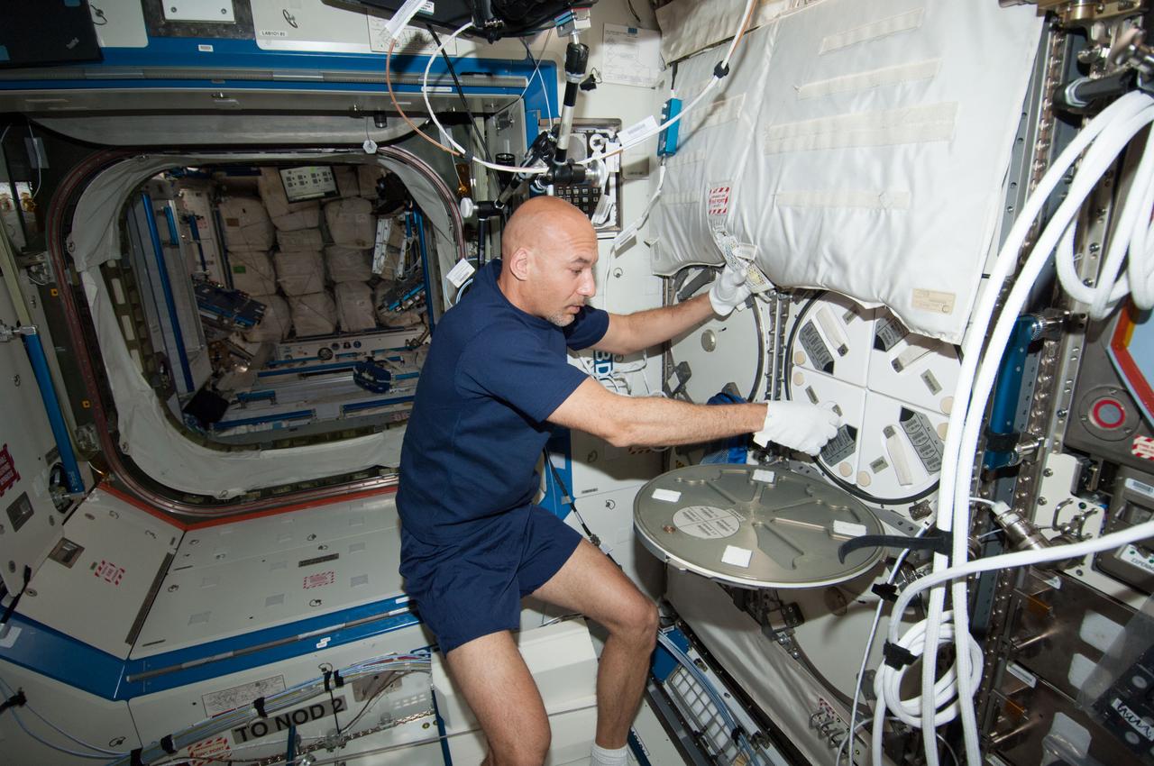 ISS036-E-006564 (6 June 2013) --- European Space Agency astronaut Luca Parmitano, Expedition 36 flight engineer, works with samples in Minus Eighty-Degree Laboratory Freezer for ISS (MELFI-3) in the Destiny laboratory of the Earth-orbiting International Space Station.