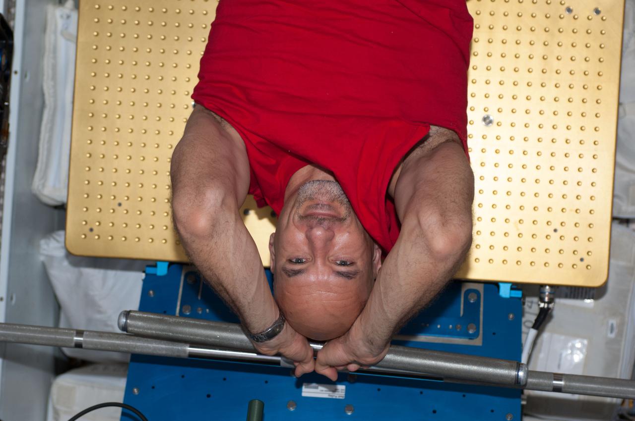 ISS036-E-006586 (6 June 2013) --- European Space Agency astronaut Luca Parmitano, Expedition 36 flight engineer, gets a workout on the Advanced Resistive Exercise Device (ARED) in the Tranquility node of the International Space Station.