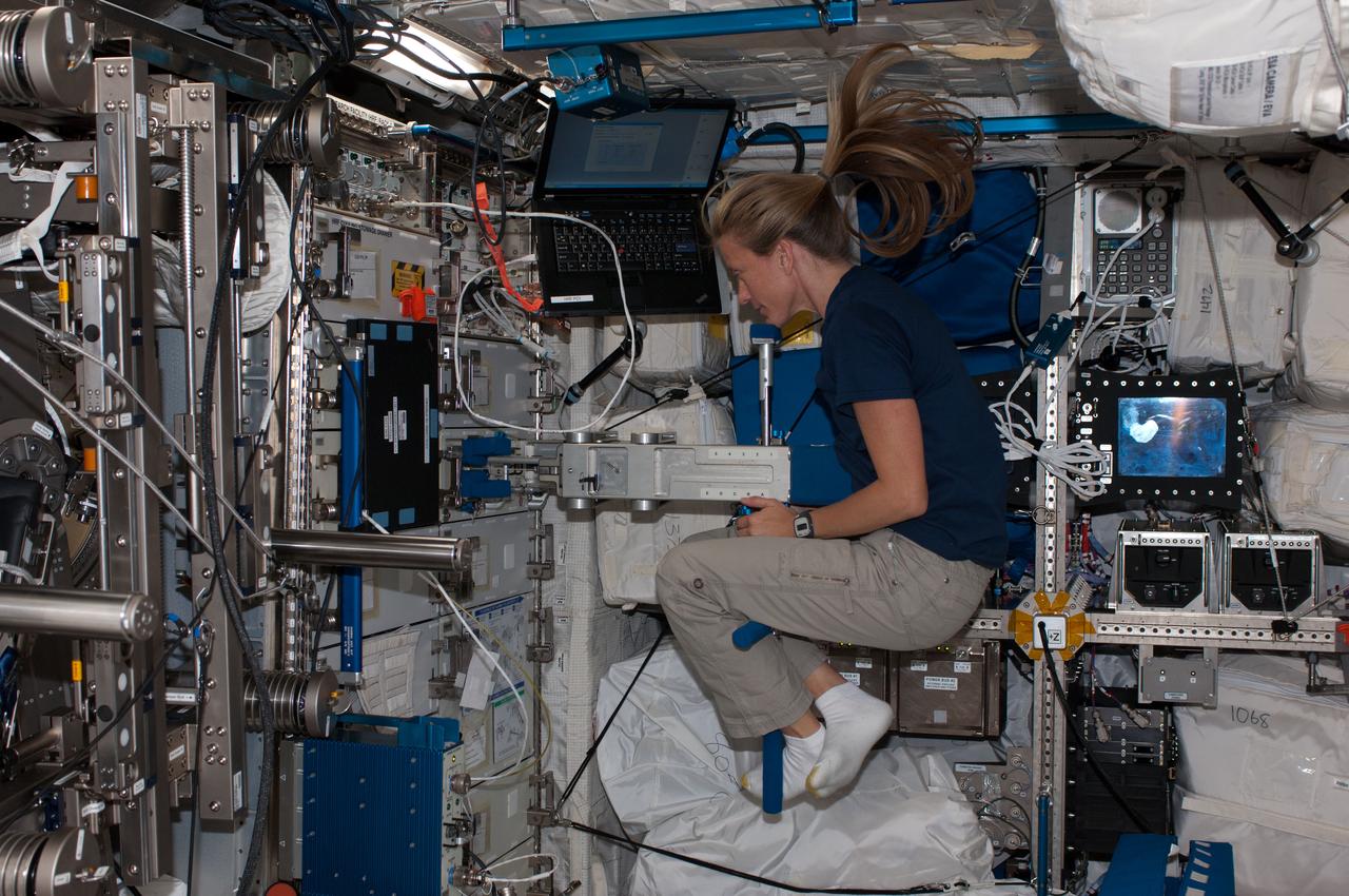 Astronaut Karen Nyberg,Expedition 36 flight engineer,performs a Space Linear Acceleration Mass Measurement Device (SLAMMD) Body Mass Measurement test in the U.S. Laboratory.