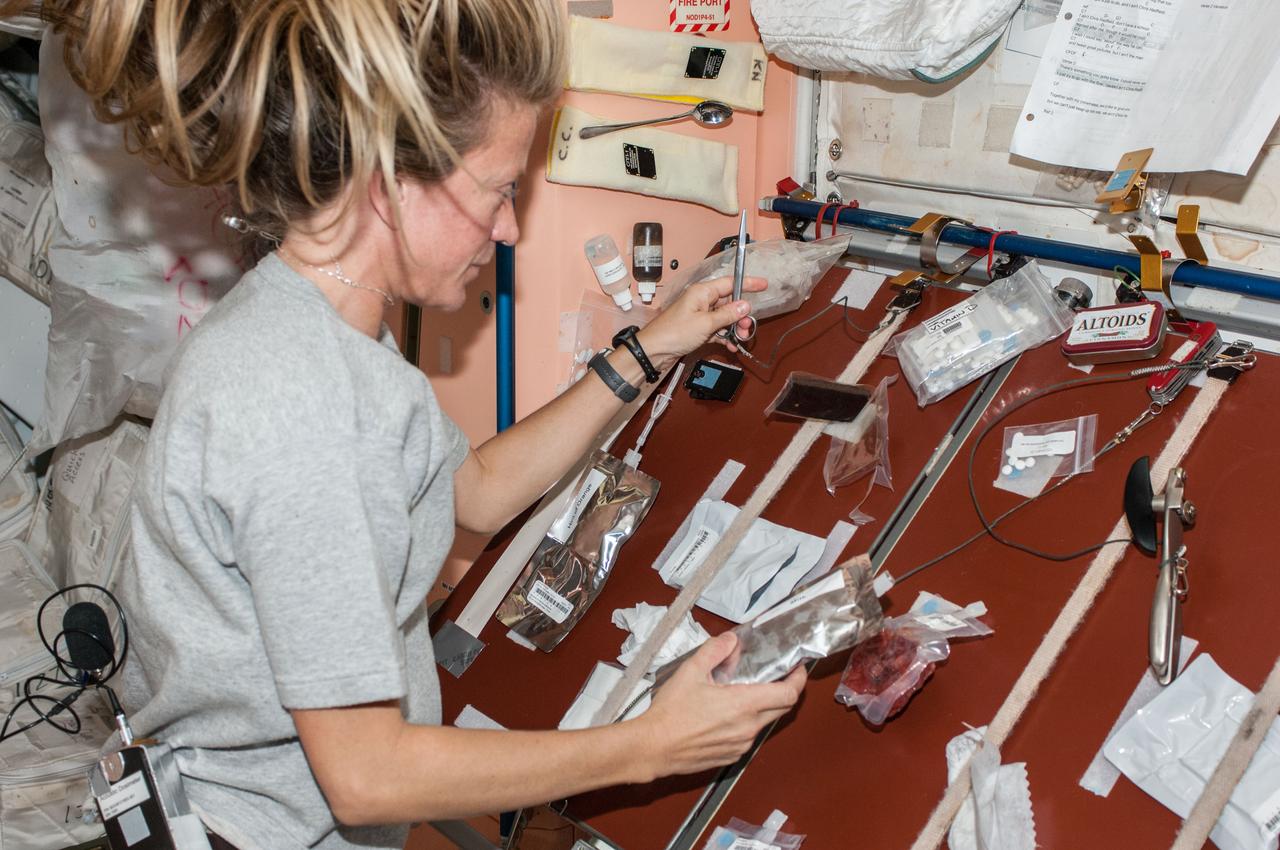 ISS036-E-008126 (14 June 2013) --- Expedition 36 Flight Engineer Karen Nyberg of NASA puts together a meal in the Unity node of the International Space Station on the eve of a special but busy day for the six person crew aboard the outpost. The European Space Agency's Automated Transfer Vehicle-4 (ATV-4) “Albert Einstein” is scheduled to dock to the orbital outpost June 15, 2013, following a ten-day period of free-flight.