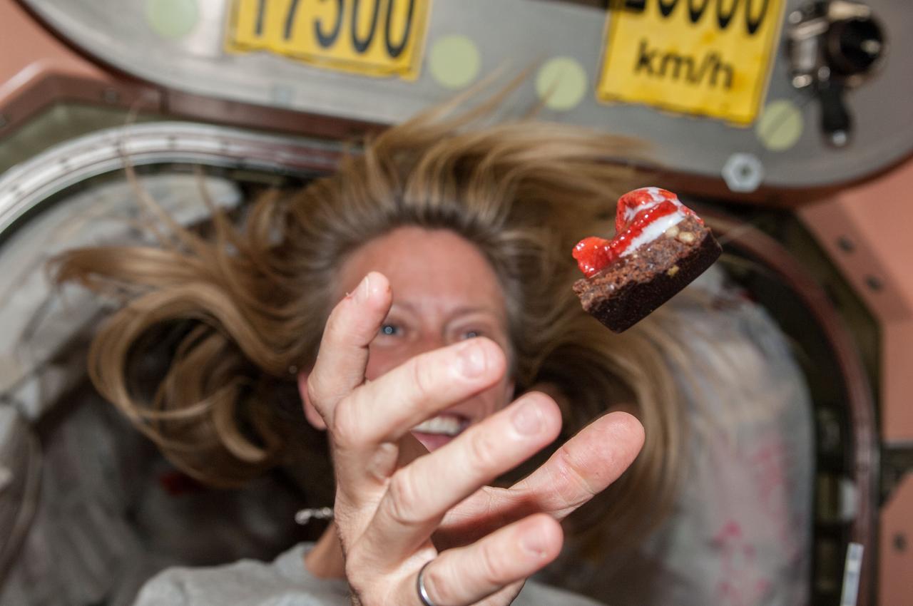 Expedition 36 Flight Engineer Karen Nyberg of NASA floats a piece of food in front her in the Node 1 module during meal time.