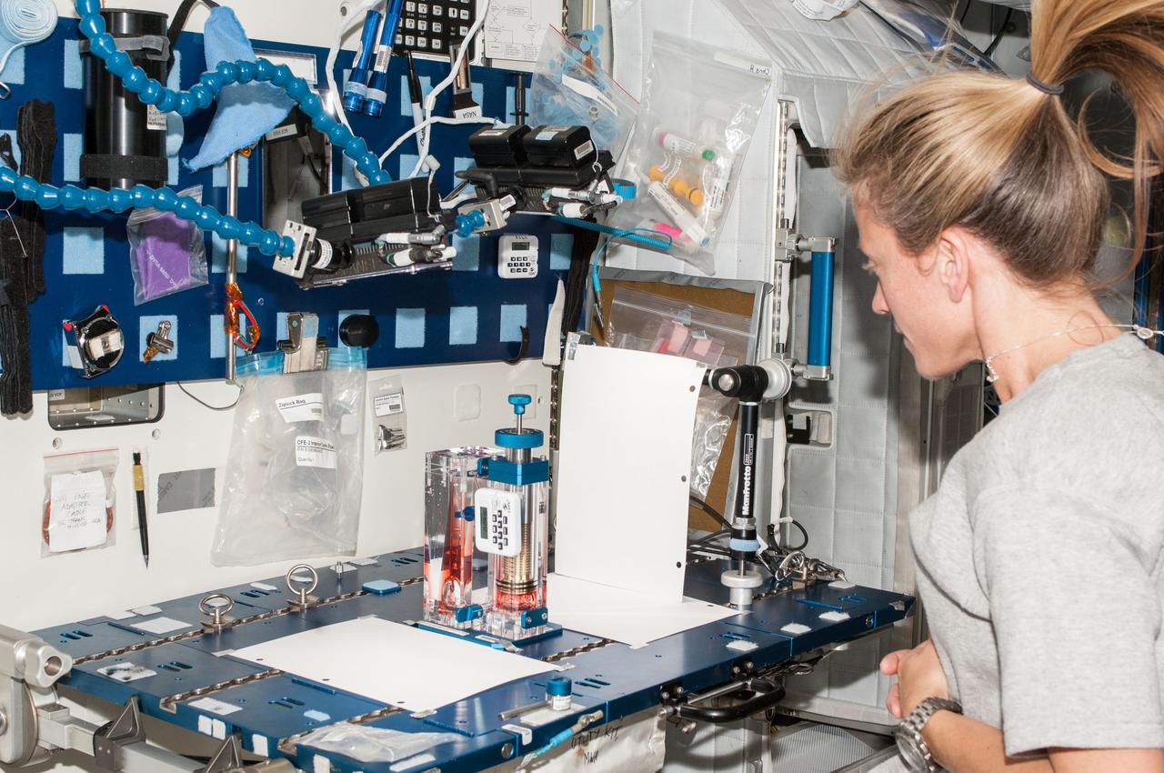ISS036-E-008191 (15 June 2013) --- NASA astronaut Karen Nyberg, Expedition 36 flight engineer, conducts a session with the Capillary Flow Experiment (CFE) Interior Corner Flow 9 (ICF-9) in the Harmony node of the International Space Station. CFE observes the flow of fluid, in particular capillary phenomena, in microgravity.