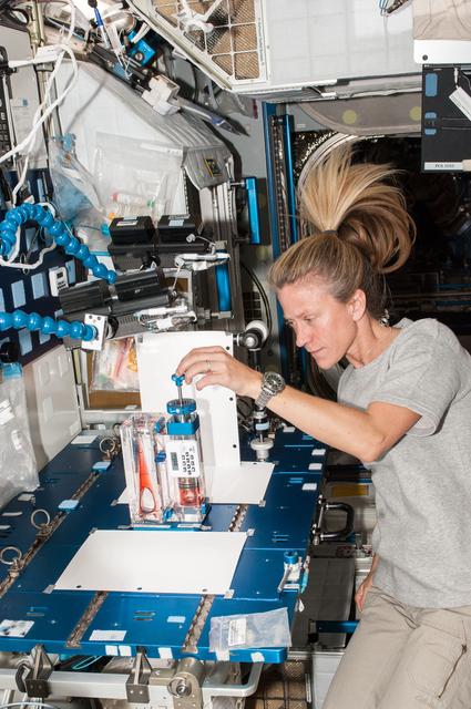 NASA image: Capillary Flow Experiment in Node 2