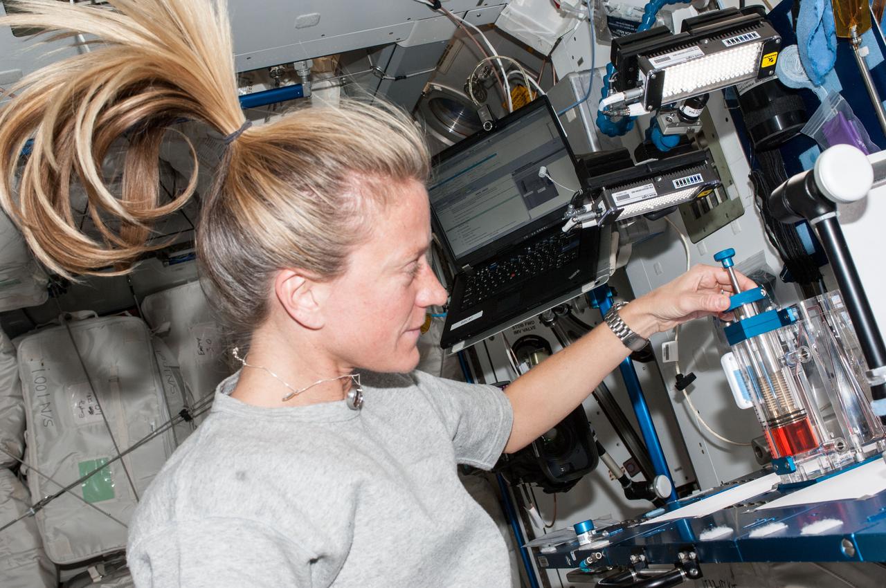 ISS036-E-008215 (15 June 2013) --- NASA astronaut Karen Nyberg, Expedition 36 flight engineer, conducts a session with the Capillary Flow Experiment (CFE) Interior Corner Flow 9 (ICF-9) in the Harmony node of the International Space Station. CFE observes the flow of fluid, in particular capillary phenomena, in microgravity.