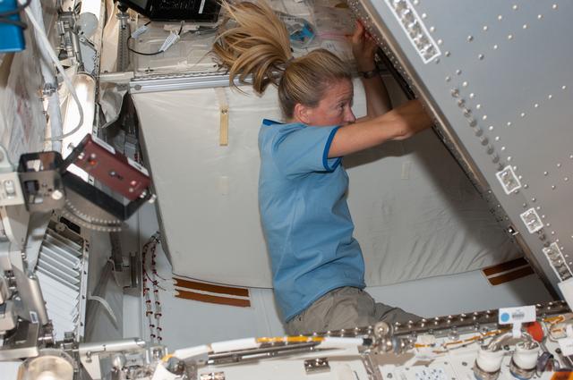 NASA image: Combustion Integrated Rack Alignment Guide Removal