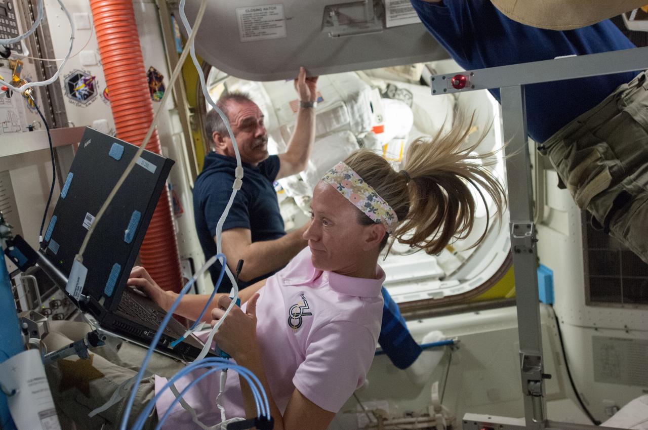 ISS036-E-017441 (8 July 2013) --- NASA astronaut Karen Nyberg, Expedition 36 flight engineer, uses a computer in the International Space Station’s Quest airlock while the crew prepares for a July 9 session of extravehicular activity (EVA) with NASA astronaut Chris Cassidy and European Space Agency astronaut Luca Parmitano, both flight engineers. Russian cosmonaut Pavel Vinogradov, commander, is visible in the background.