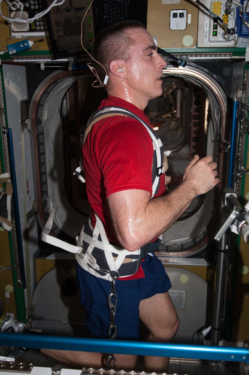 ISS036-E-018065 (4 July 2013) --- NASA astronaut Chris Cassidy, Expedition 36 flight engineer, equipped with a bungee harness, exercises on the Combined Operational Load Bearing External Resistance Treadmill (COLBERT) in the Tranquility node of the International Space Station.