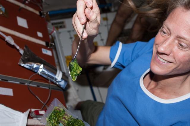 NASA image: Meal in the Node 1 module