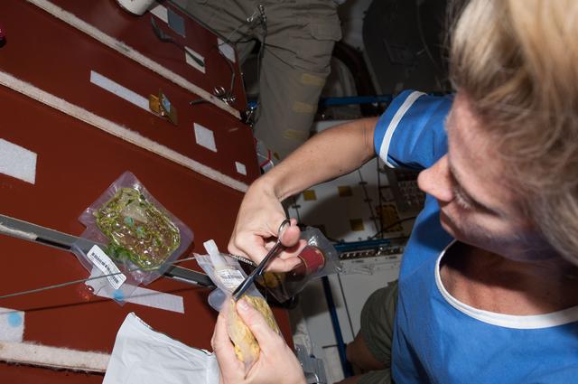 NASA image: Meal in the Node 1 module