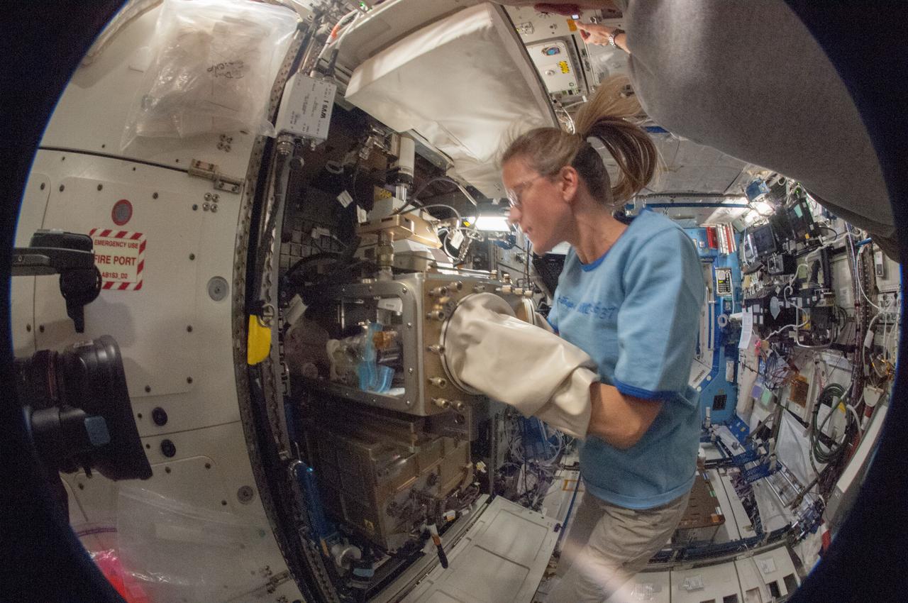ISS036-E-019783 (24 June 2013) --- In the International Space Station’s Destiny laboratory, a fisheye lens attached to an electronic still camera was used to capture this image of NASA astronaut Karen Nyberg, Expedition 36 flight engineer, as she conducts a session with the Advanced Colloids Experiment (ACE)-1 sample preparation at the Light Microscopy Module (LMM) in the Fluids Integrated Rack / Fluids Combustion Facility (FIR/FCF). ACE-1 is a series of microscopic imaging investigations that uses the microgravity environment to examine flow characteristics and the evolution and ordering effects within a group of colloidal materials.