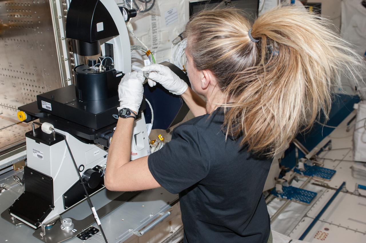 NASA astronaut Karen Nyberg, Expedition 36 flight engineer, works to setup the Multi-Purpose Small Payload Rack (MSPR) fluorescence microscope in the Kibo laboratory of the International Space Station.