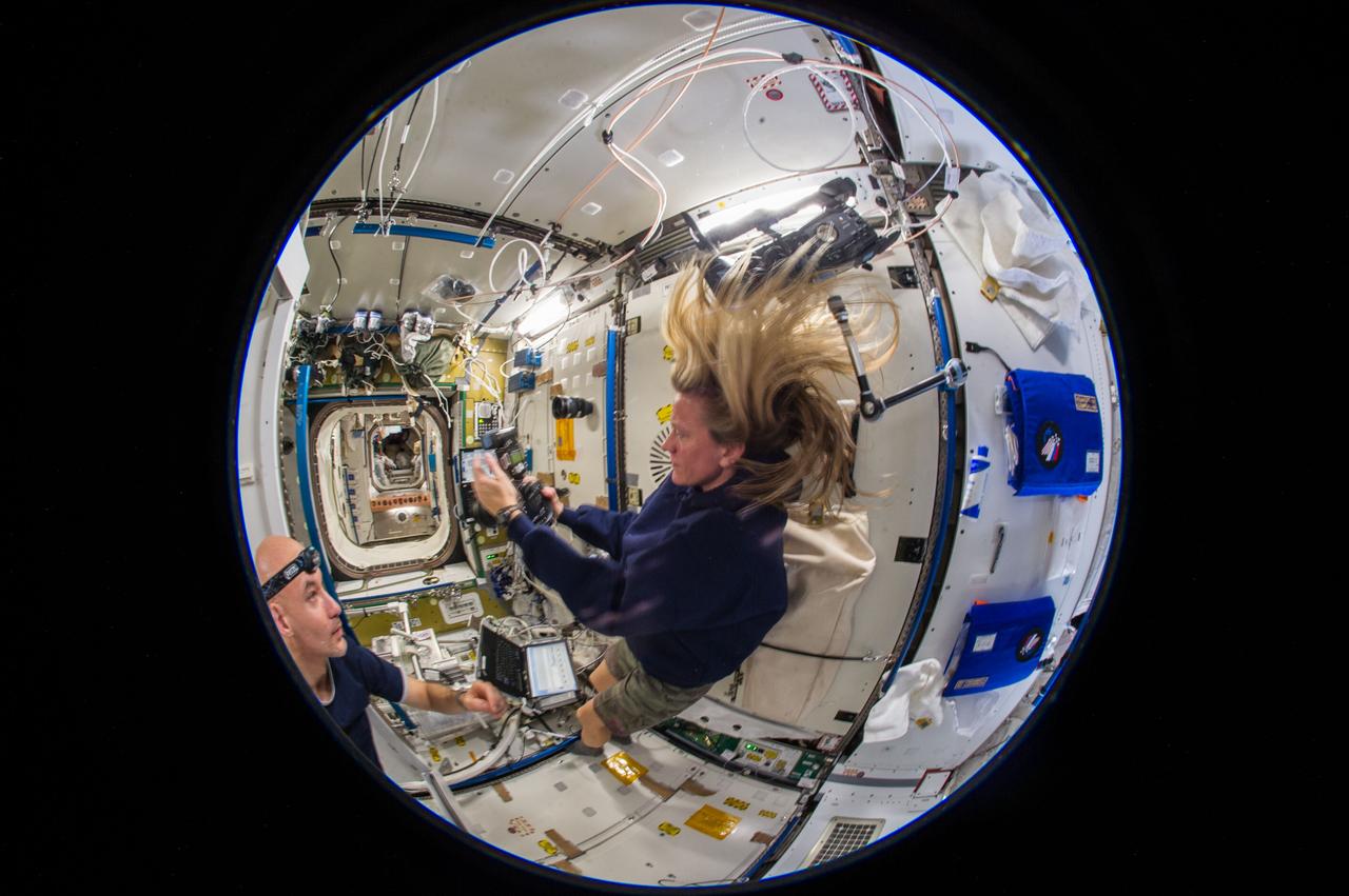 ISS036-E-022134 (20 July 2013) --- A fisheye lens attached to an electronic still camera was used to capture this image of NASA astronaut Karen Nyberg, Expedition 36 flight engineer, holding a digital still camera in the Tranquility node of the International Space Station. European Space Agency astronaut Luca Parmitano, flight engineer, is at lower left.