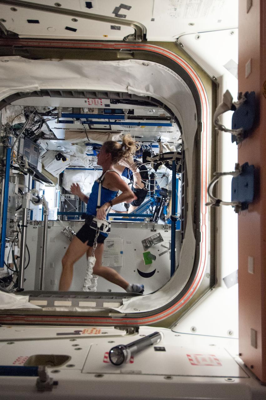 ISS036-E-022476 (22 July 2013) --- NASA astronaut Karen Nyberg, Expedition 36 flight engineer, equipped with a bungee harness, exercises on the Combined Operational Load Bearing External Resistance Treadmill (COLBERT) in the Tranquility node of the International Space Station.