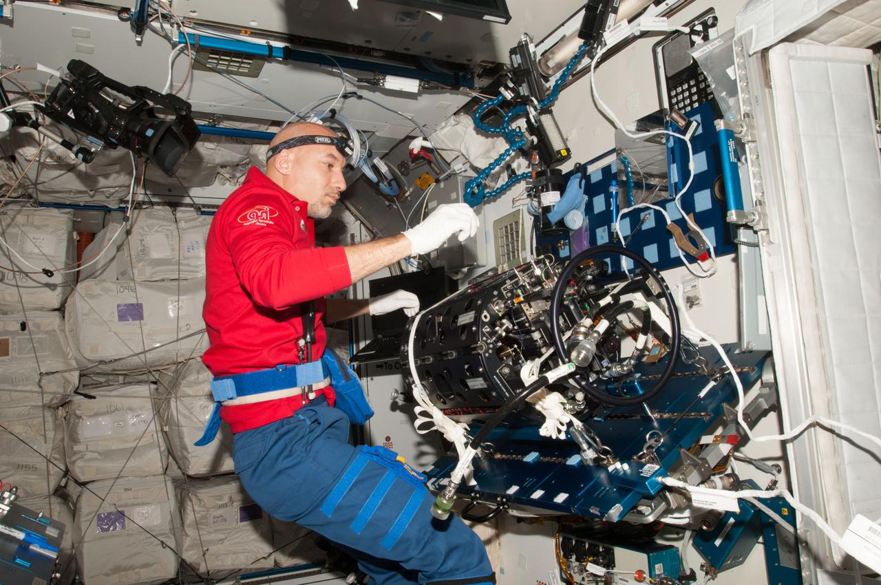 ISS036-E-024569 (24 July 2013) --- European Space Agency astronaut Luca Parmitano, Expedition 36 flight engineer, works on the Multi-User Droplet Combustion Apparatus (MDCA) Chamber Insert Assembly (CIA) at a maintenance work station in the Harmony node of the International Space Station.