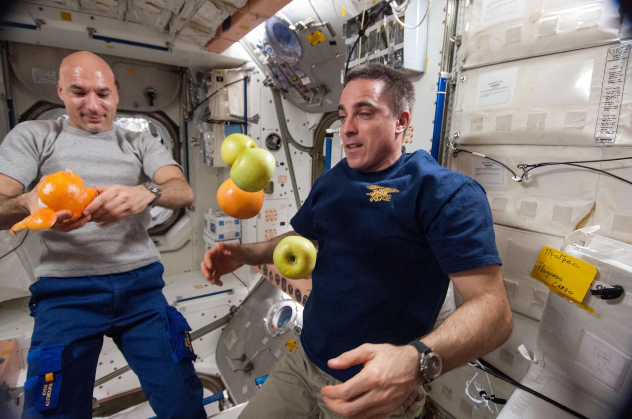 ISS036-E-025528 (28 July 2013) --- European Space Agency astronaut Luca Parmitano (left) and NASA astronaut Chris Cassidy, both Expedition 36 flight engineers, are pictured near fresh fruit floating freely in the Unity node of the International Space Station.