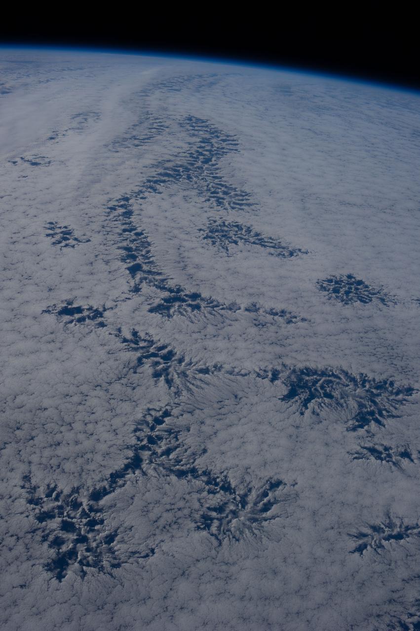 Earth observation taken during day pass by an Expedition 36 crew member on board the International Space Station (ISS). Per Twitter message: Never tire of finding shapes in the clouds! These look very botanical to me. Simply perfect.