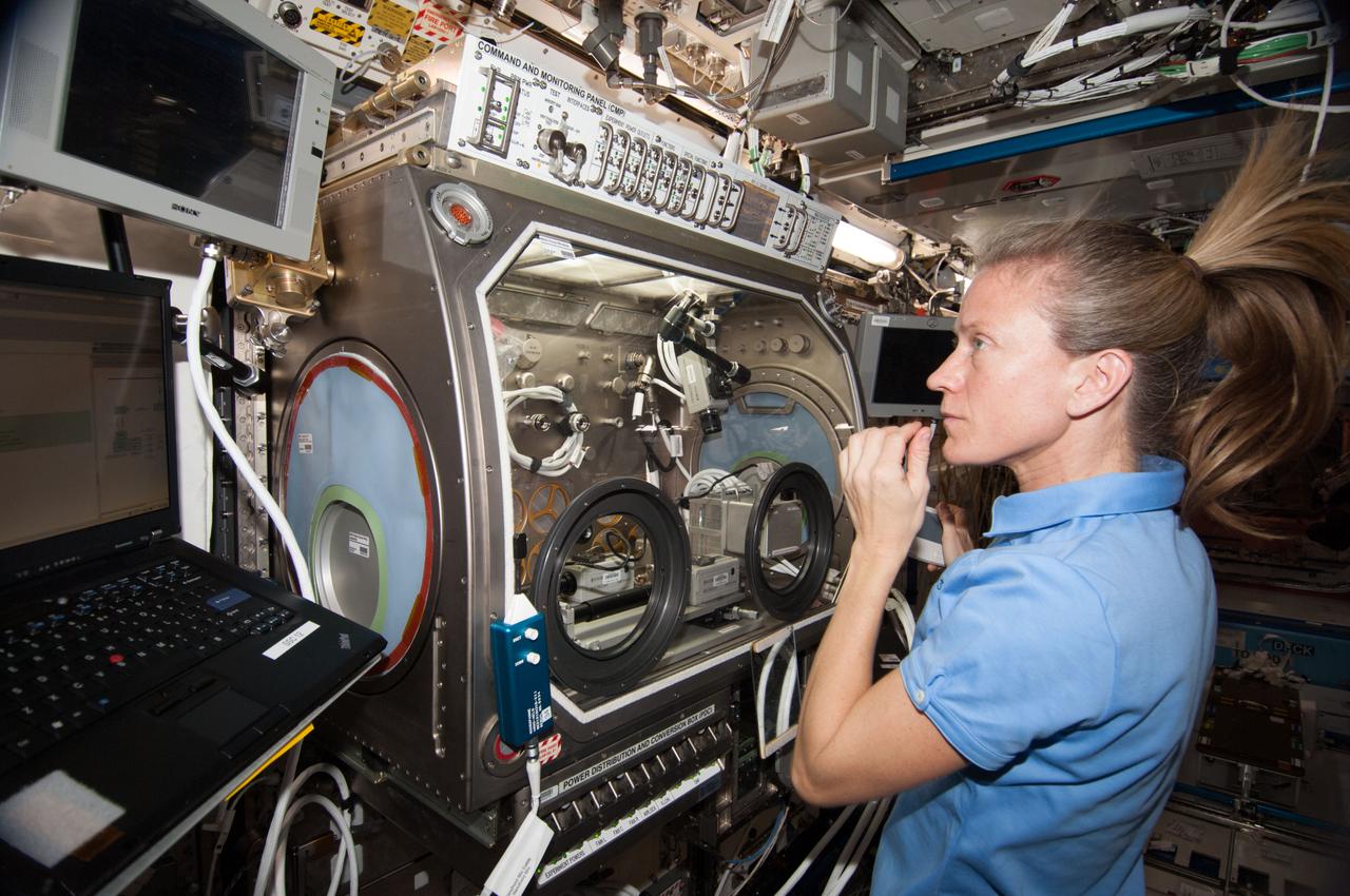 ISS036-E-027146 (1 Aug. 2013) --- NASA astronaut Karen Nyberg, Expedition 36 flight engineer, works with the InSPACE-3 experiment in the Microgravity Science Glovebox (MSG) in the Destiny laboratory of the International Space Station. InSPACE-3 applies different magnetic fields to vials of colloids, or liquids with microscopic particles, and observes how fluids can behave like a solid. Results may improve the strength and design of materials for stronger buildings and bridges.