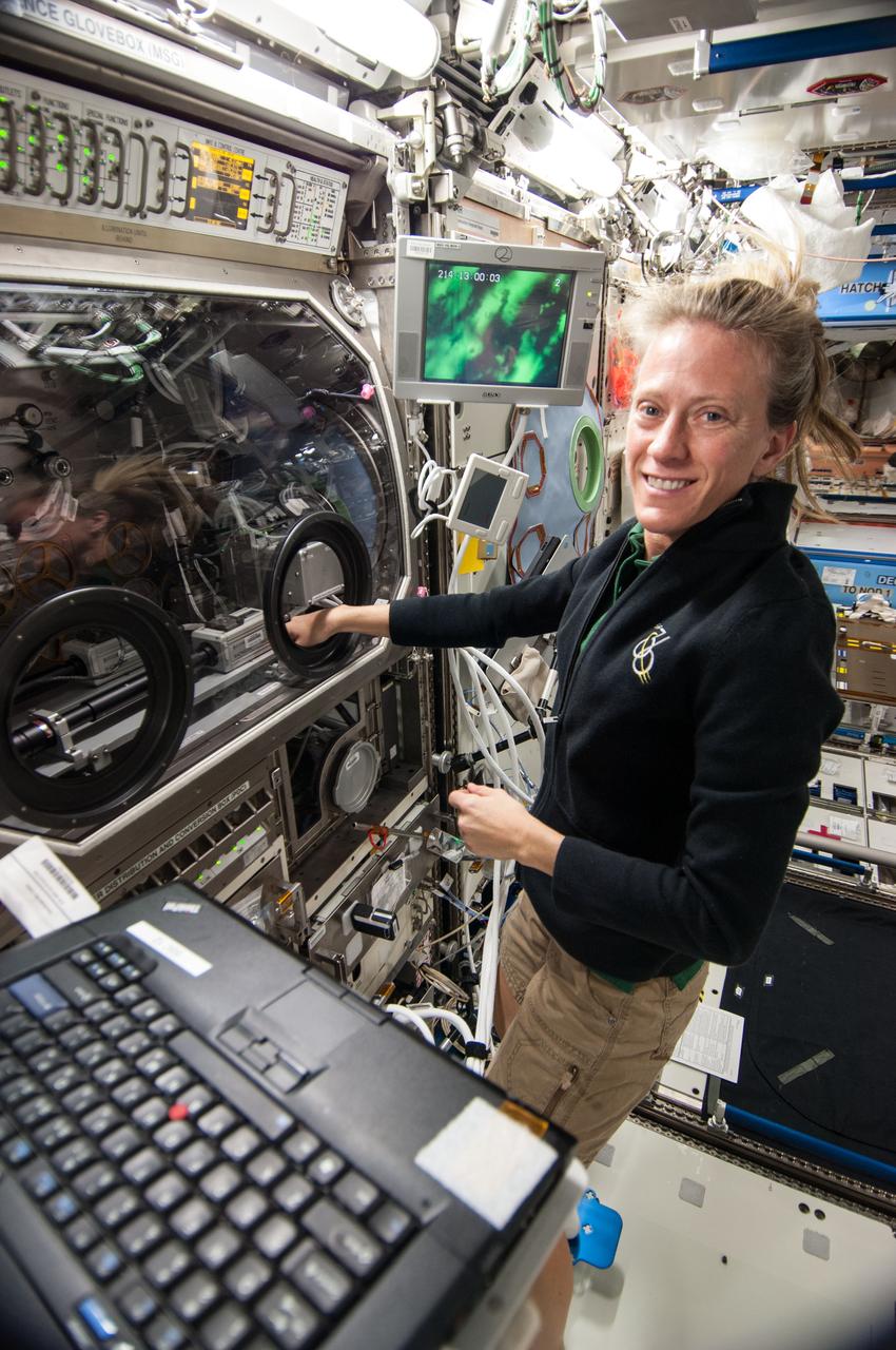 NASA astronaut Karen Nyberg,Expedition 36 flight engineer,works with the InSPACE-3 experiment in the Microgravity Science Glovebox (MSG) in the Destiny laboratory of the International Space Station. InSPACE-3 applies different magnetic fields to vials of colloids,or liquids with microscopic particles,and observes how fluids can behave like a solid. Also sent as Twitter message.