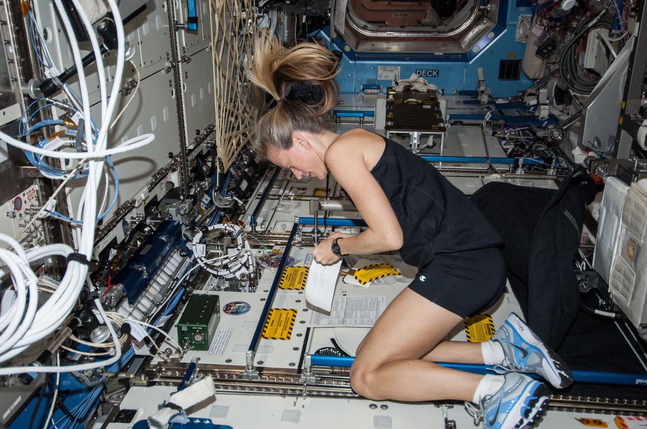 ISS036-E-028239 (5 Aug. 2013) --- NASA astronaut Karen Nyberg, Expedition 36 flight engineer, works in the Destiny laboratory of the International Space Station.