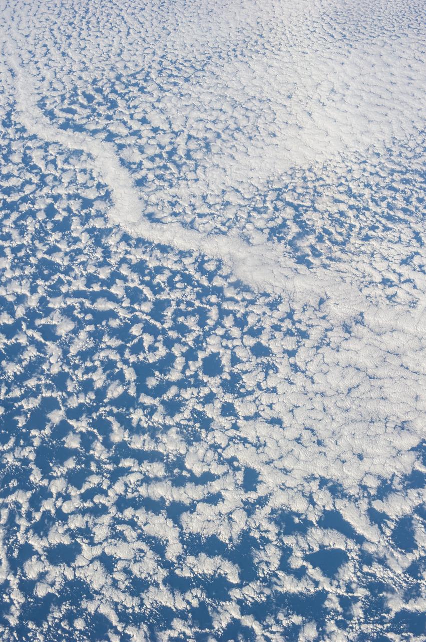 Earth observation taken during day pass by an Expedition 36 crew member on board the International Space Station (ISS). Per Twitter message: Perhaps a dandelion losing its seeds in the wind? Love clouds!