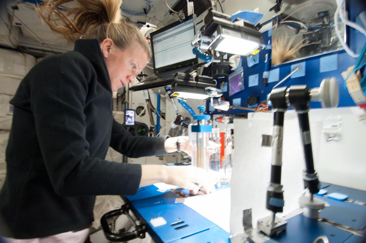 ISS036-E-029767 (8 Aug. 2013) --- NASA astronaut Karen Nyberg, Expedition 36 flight engineer, conducts a session with the Capillary Flow Experiment (CFE) in the Harmony node of the International Space Station. CFE observes the flow of fluid, in particular capillary phenomena, in microgravity. The data from this experiment will improve computer models used to design fluid transfer systems and fuel tanks on future spacecraft.