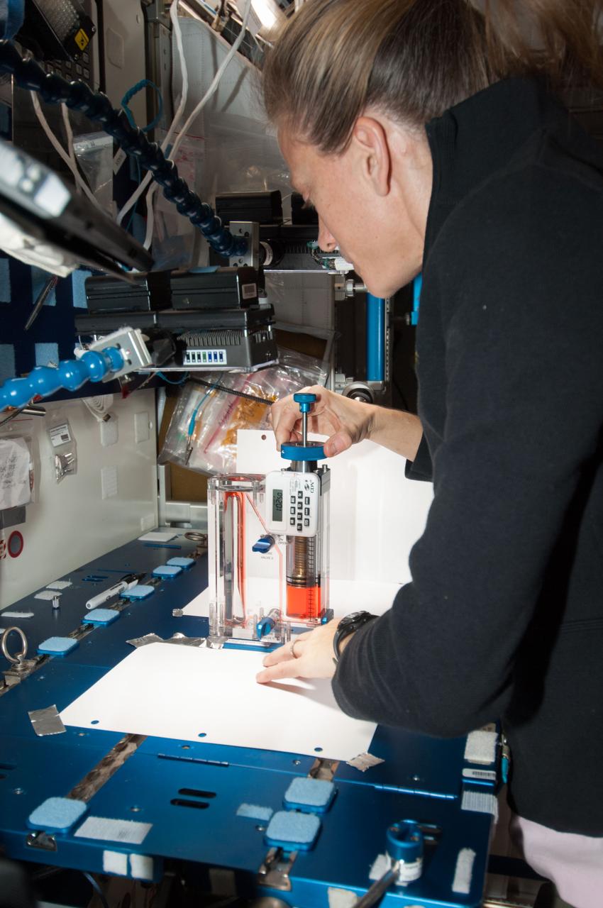 ISS036-E-029773 (8 Aug. 2013) --- NASA astronaut Karen Nyberg, Expedition 36 flight engineer, conducts a session with the Capillary Flow Experiment (CFE) in the Harmony node of the International Space Station. CFE observes the flow of fluid, in particular capillary phenomena, in microgravity. The data from this experiment will improve computer models used to design fluid transfer systems and fuel tanks on future spacecraft.