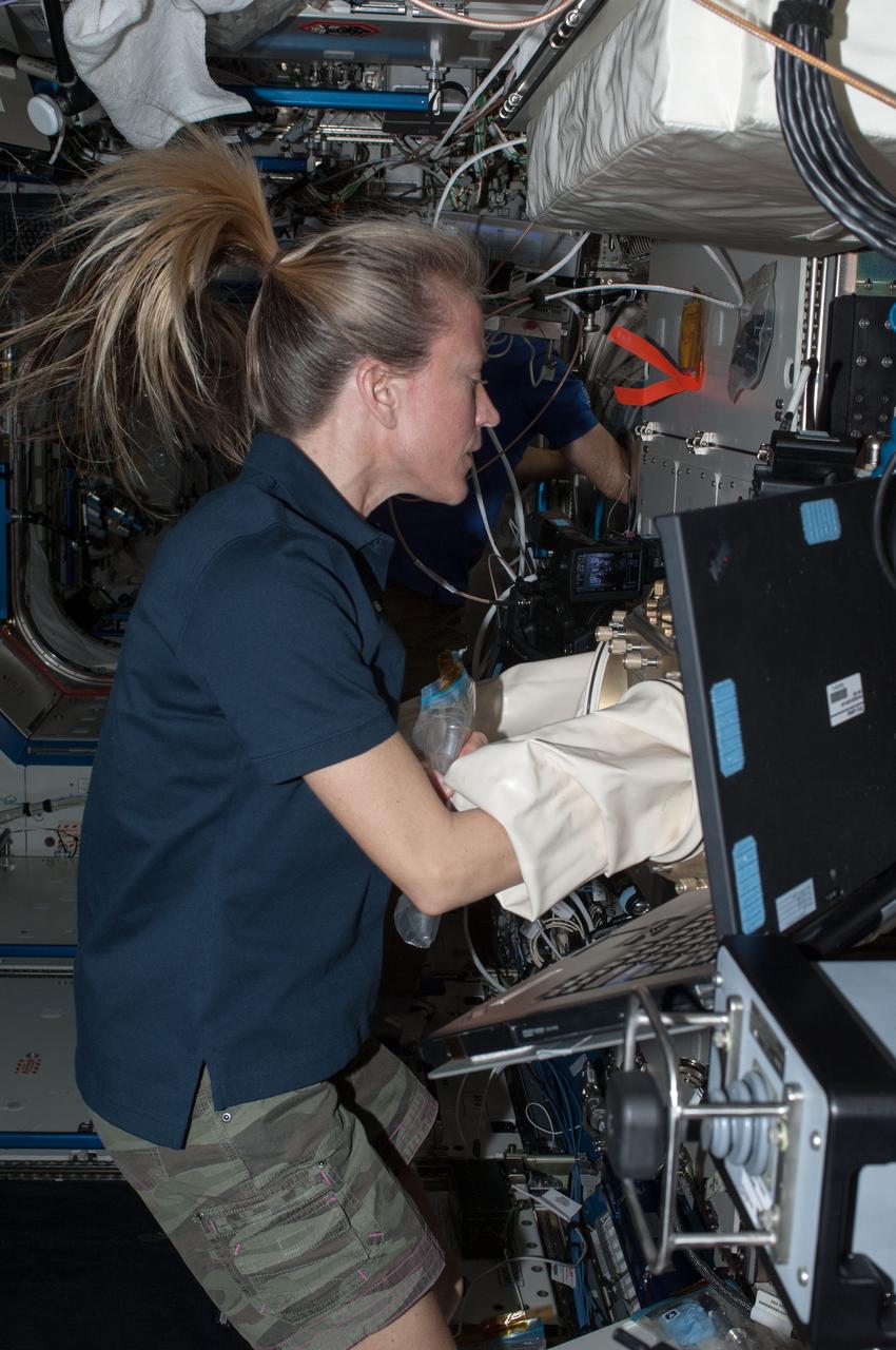 ISS036-E-035767 (18 Aug. 2013) --- NASA astronaut Karen Nyberg, Expedition 36 flight engineer, works with new test samples for the Advanced Colloids Experiment, or ACE, housed in the Light Microscopy Module (LMM) inside the Fluids Integrated Rack of the International Space Station?s Destiny laboratory. Results from ACE will help researchers understand how to optimize stabilizers to extend the shelf life of products like laundry detergent, paint, ketchup and even salad dressing.